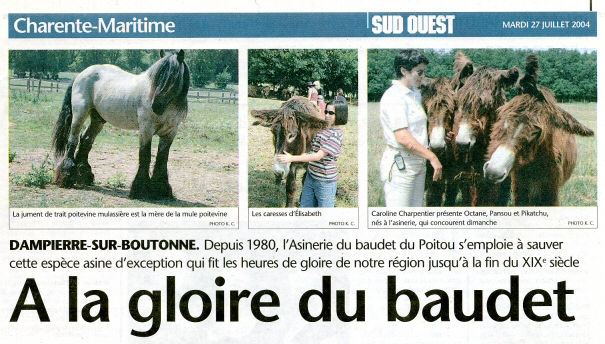 A la gloire du beaudet : Sud Ouest 27 juillet 2004