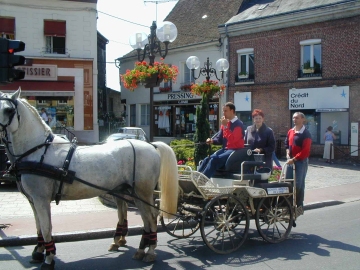 Fabienne Thibaut en attelage
