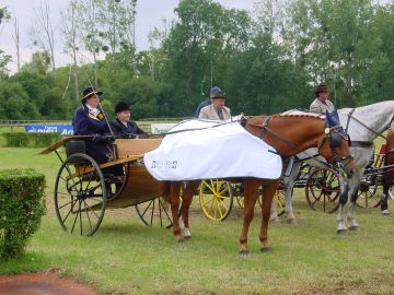 Remise des prix Danile Amar